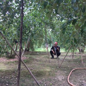 20181221 Taobangla.online8