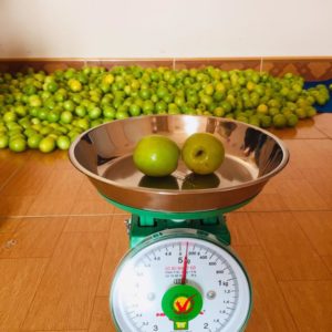 20181223 Taobangla.online 3